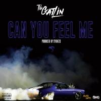 Artwork for Can You Feel Me by The Gatlin