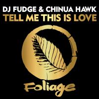 Artwork for Tell Me This Is Love by DJ Fudge