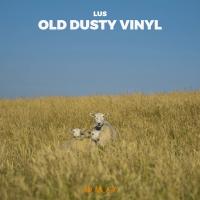 Artwork for Old Dusty Vinyl by lUS