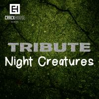 Artwork for Tribute To Night Creatures by Night Creatures