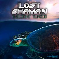 Artwork for Twilight Turtle by Lost Shaman