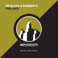 Artwork for Too Late by Mr Black