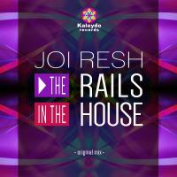 Artwork for The Rails In The House by Joi Resh