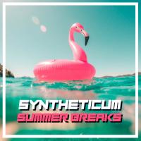 Artwork for Summer Breaks by Syntheticum