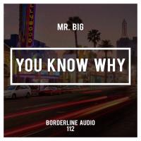 Artwork for You Know Why by Mr. Big