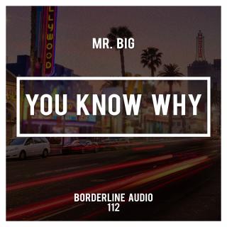 Artwork for You Know Why (Original Mix)