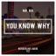 Artwork for You Know Why (Original Mix)