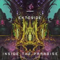 Artwork for Inside the Paradise by Ektoside