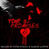 Artwork for Promises by Tony S