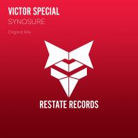 Artwork for Synosure by Victor Special