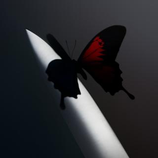 Artwork for I Like You (A Happier Song)