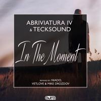 Artwork for In the Moment by Abriviatura IV