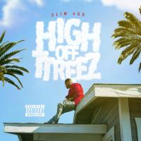 Artwork for High Off TTreez by Slim 400