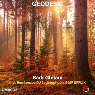 Artwork for Geodesic