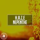 Artwork for Nepenthe (Original Mix)