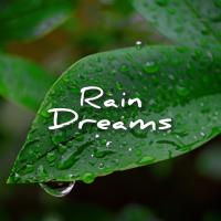 Artwork for Rain Dreams by Sounds Of Nature