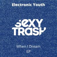 Artwork for When I Dream by Electronic Youth