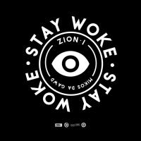 Artwork for Stay Woke by Zion I