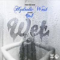 Artwork for Wet (Remix) [feat. Bri J & Smiggz] by Hydrolic West