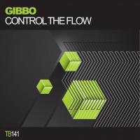 Artwork for Control The Flow by Gibbo