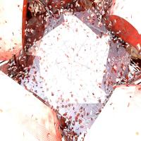Artwork for Integrity / Decency  by Giles Appleton
