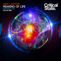 Artwork for Meaning of Life by Sam Laxton