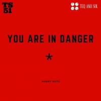 Artwork for You Are In Danger by Harry Soto