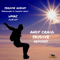 Artwork for Skydive (Remixes) by Andy Craig