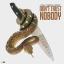 Artwork for Nobody