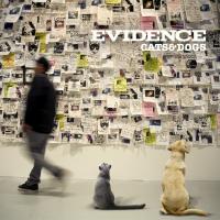 Artwork for Cats & Dogs by Evidence