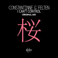 Artwork for I Can't Control by Constantinne