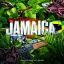 Artwork for Jamaica (feat. Maine Tha God)