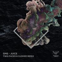 Artwork for Juice (Two Faces, Djoker (BR) Remix) by GMS