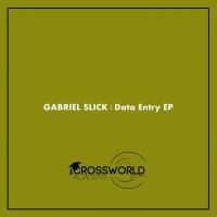 Artwork for Data Entry EP by Gabriel Slick