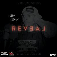 Artwork for Reveal by Brio Braze