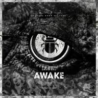 Artwork for Awake by David Bau