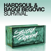 Artwork for Survival by Hardsoul