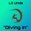 Artwork for Diving In