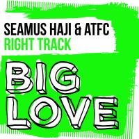 Artwork for Right Track by Seamus Haji