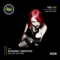 Artwork for Dynamic Grooves (Deluxe Edition) by Various Artists