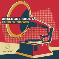 Artwork for Analog Soul 4 by Funk Windows