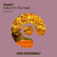 Artwork for Autumn In The Heart by David I