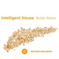 Artwork for Boiler Room by Intelligent House