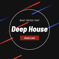 Artwork for What Drives You? by Deep House