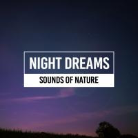 Artwork for Dream Sounds by Sounds Of Nature