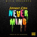 Artwork for Never Mind