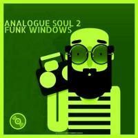 Artwork for Analogue Soul 2 by Funk Windows