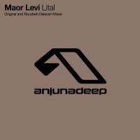 Artwork for Lital by Maor Levi