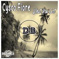 Artwork for What You Got by Cysco Fiore