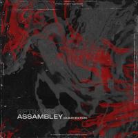 Artwork for Assambley by Optimuss